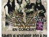 2013-affiche-fz-pacific-16-novembre-2013-mike-bbf-new-3